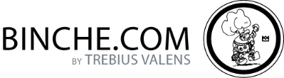 BINCHE.COM