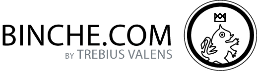 BINCHE.COM